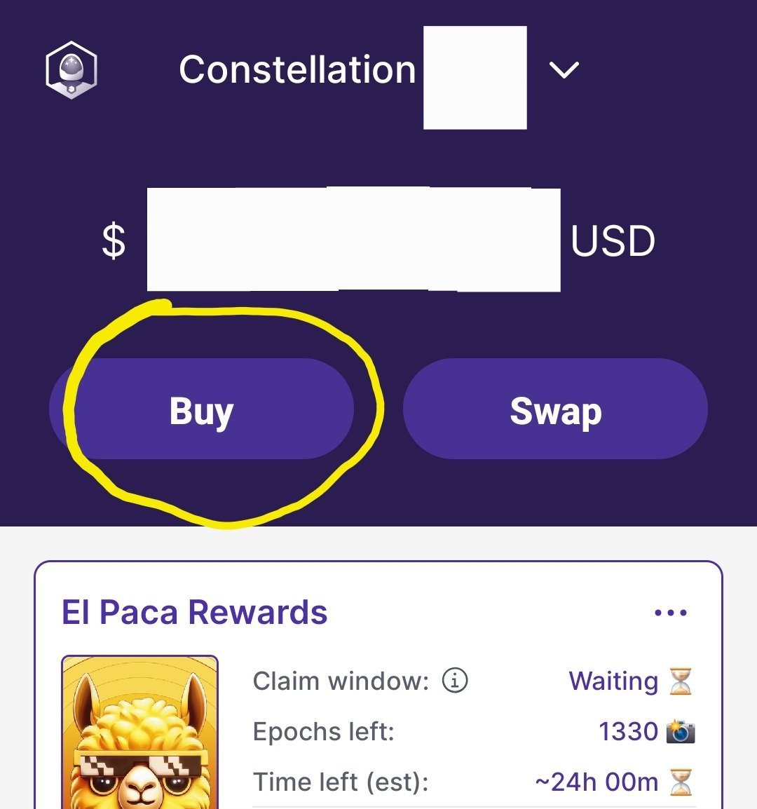 Stargazer wallet home screen with the Buy button circled